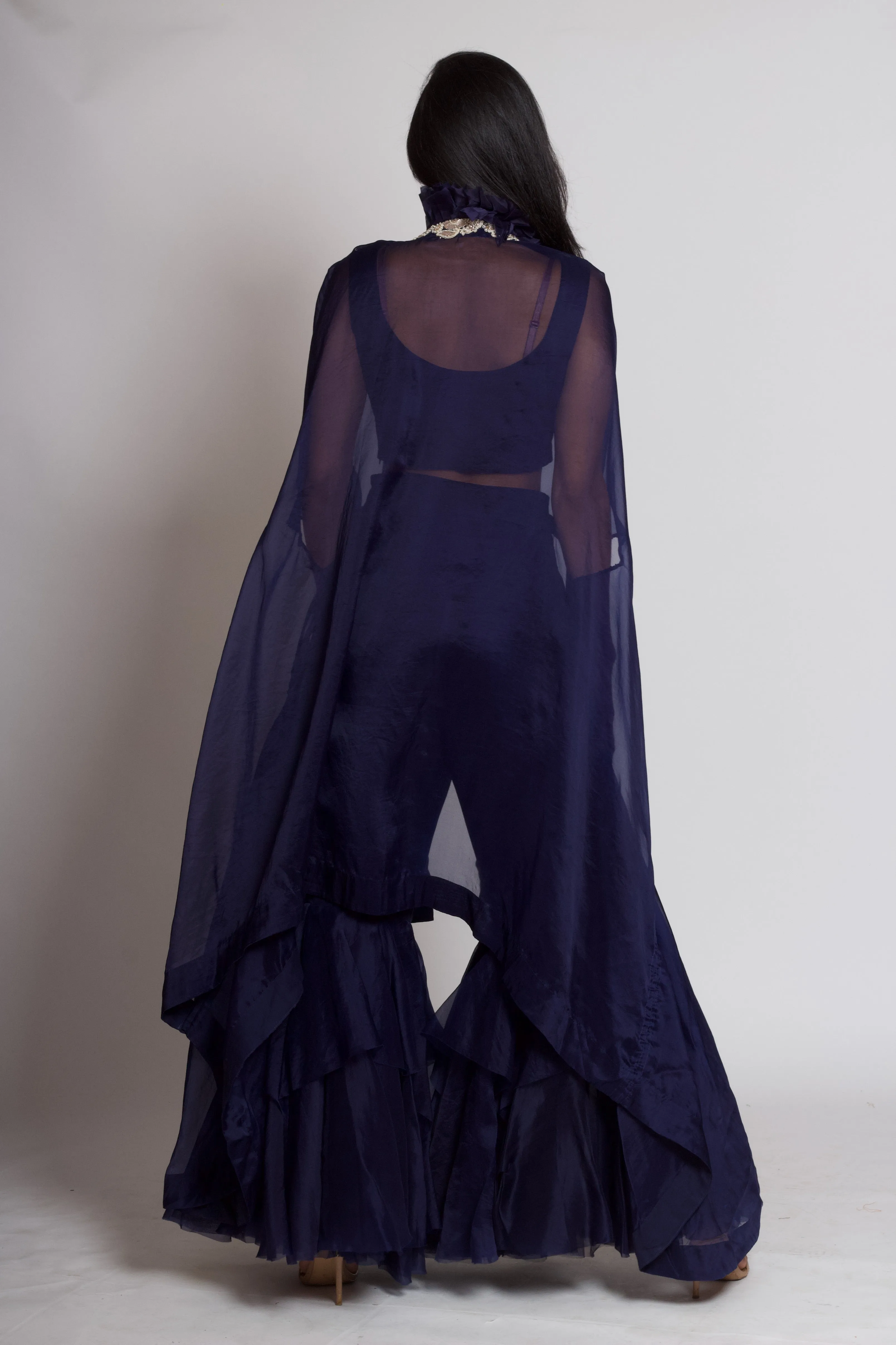Anamika Khanna Crop Top Skirt Set