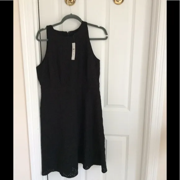 Ann Taylor eyelet flare 👗.