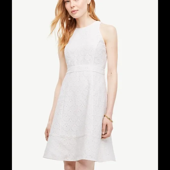 Ann Taylor eyelet flare 👗.