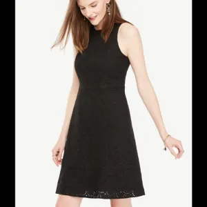 Ann Taylor eyelet flare 👗.