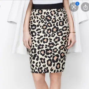 “ANN TAYLOR” Leopard Pencil Skirt