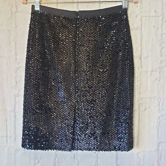 ANN TAYLOR Sequin Skirt &amp; Top Set 2 Petite