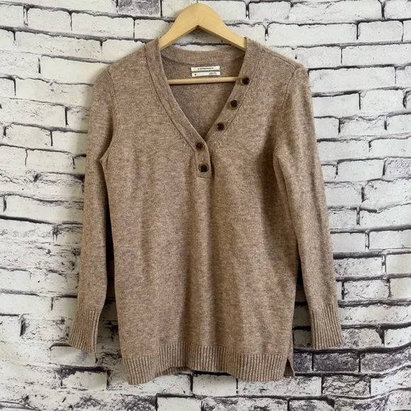 Anthropologie Serena V-Neck Sweater in Tan Size XS