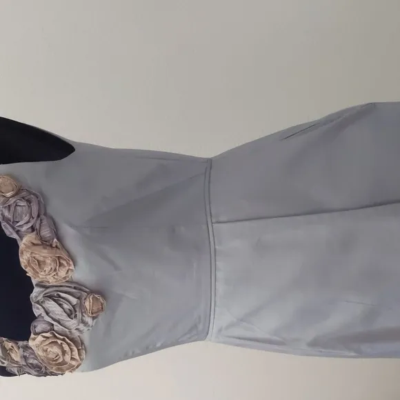 BARASCHI for ANTHROPOLOGIE Slate shift dress size 4 with pockets!