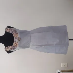 BARASCHI for ANTHROPOLOGIE Slate shift dress size 4 with pockets!