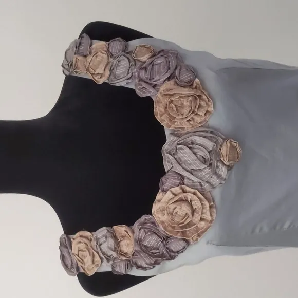BARASCHI for ANTHROPOLOGIE Slate shift dress size 4 with pockets!