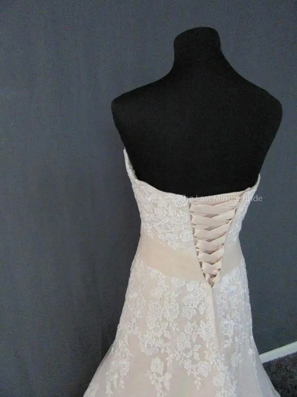 Bonny 1507