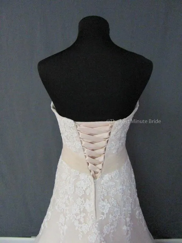 Bonny 1507