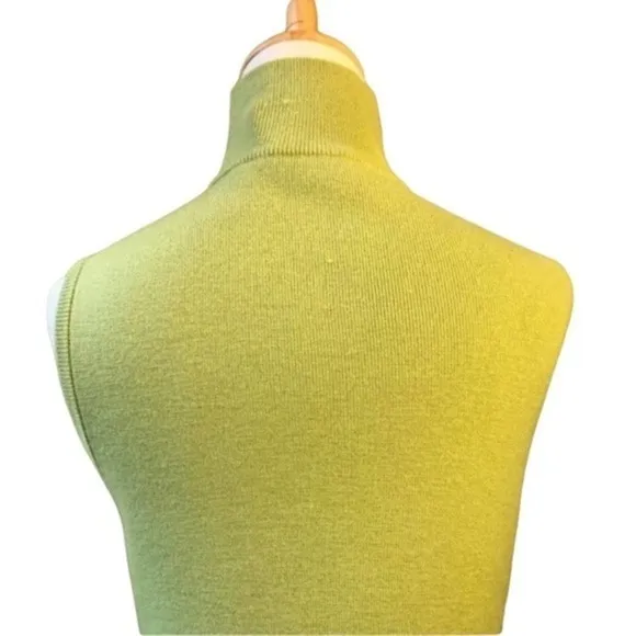 Carlisle Womens Green Sleeveless Turtleneck Merino Wool Knit dress size small