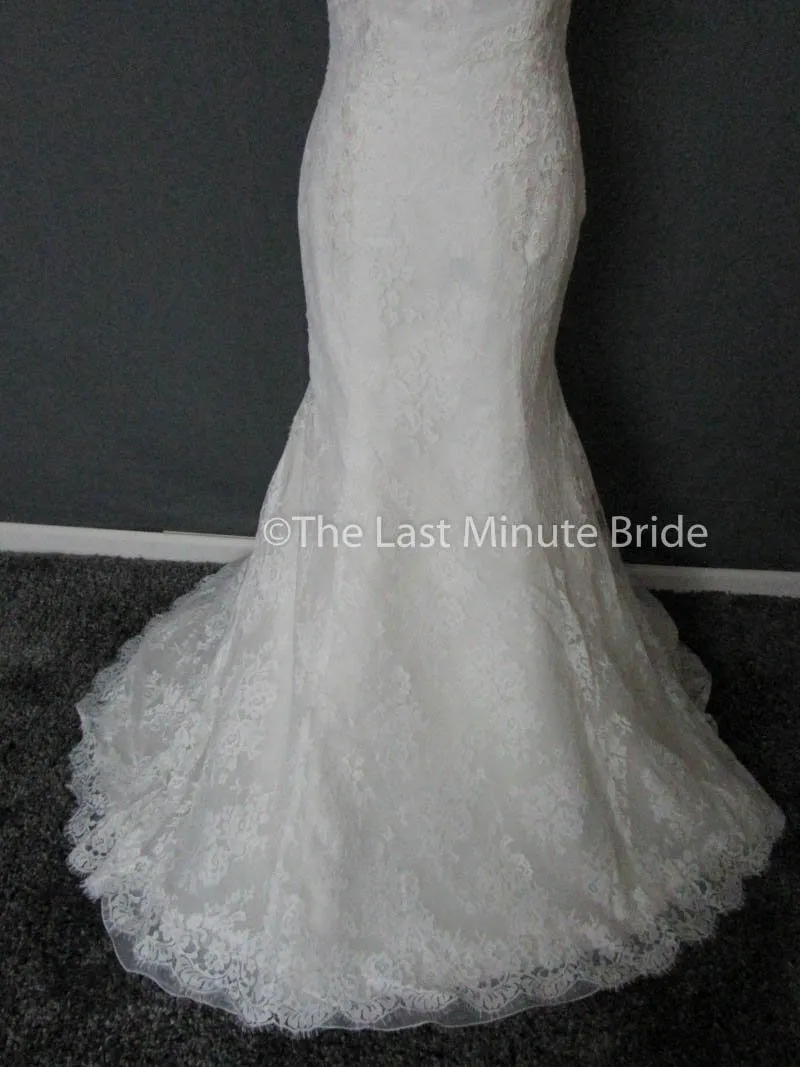 Cosmobella 7858