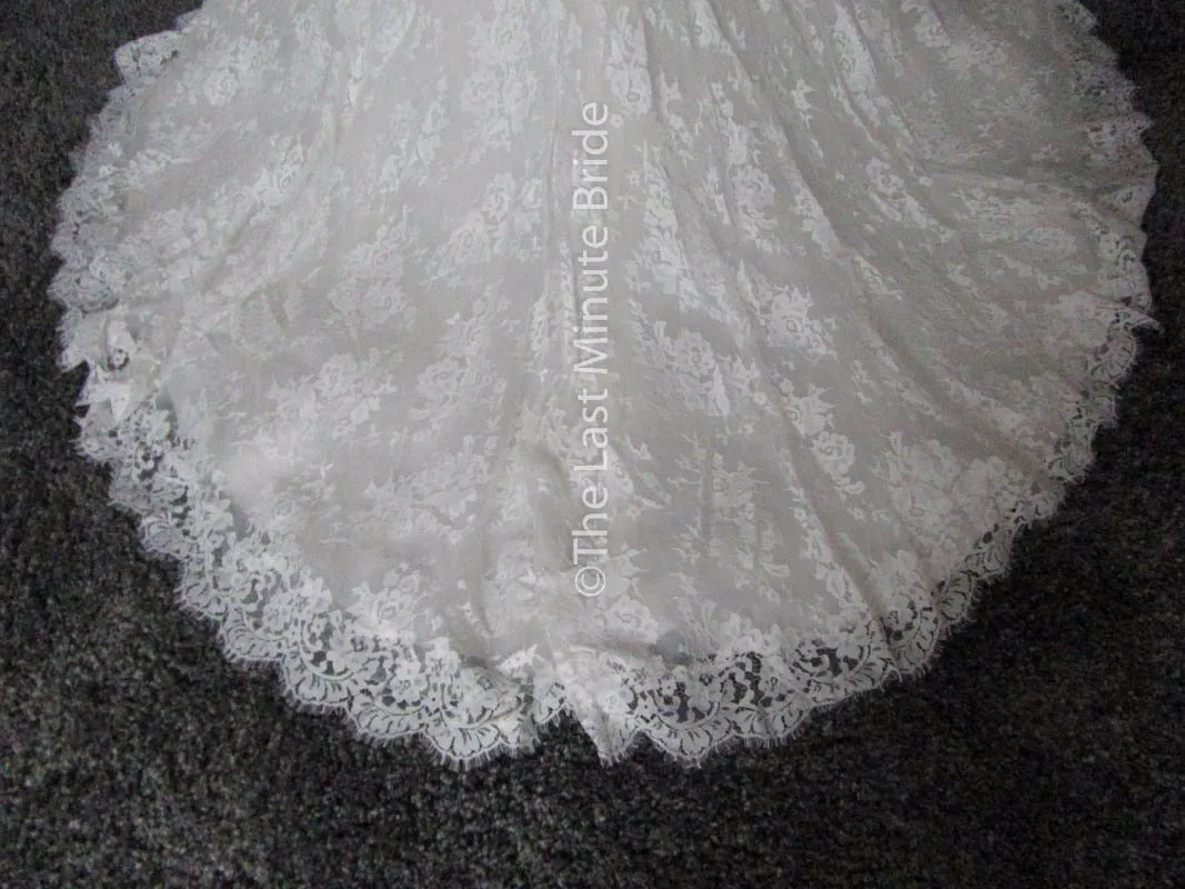Cosmobella 7858