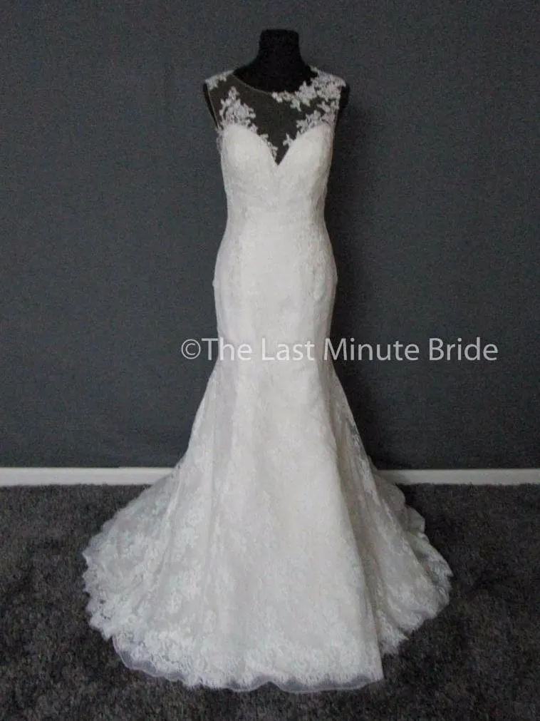 Cosmobella 7858