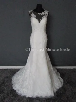 Cosmobella 7858
