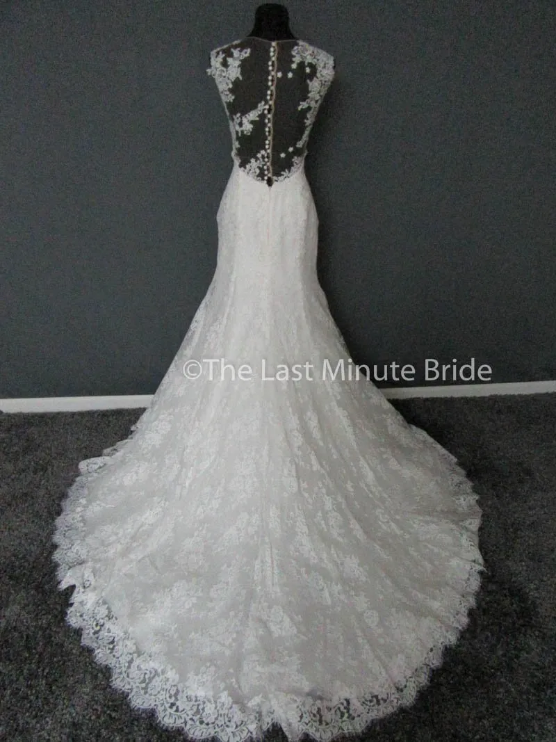 Cosmobella 7858