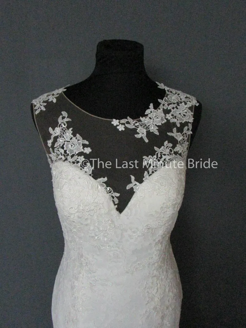 Cosmobella 7858