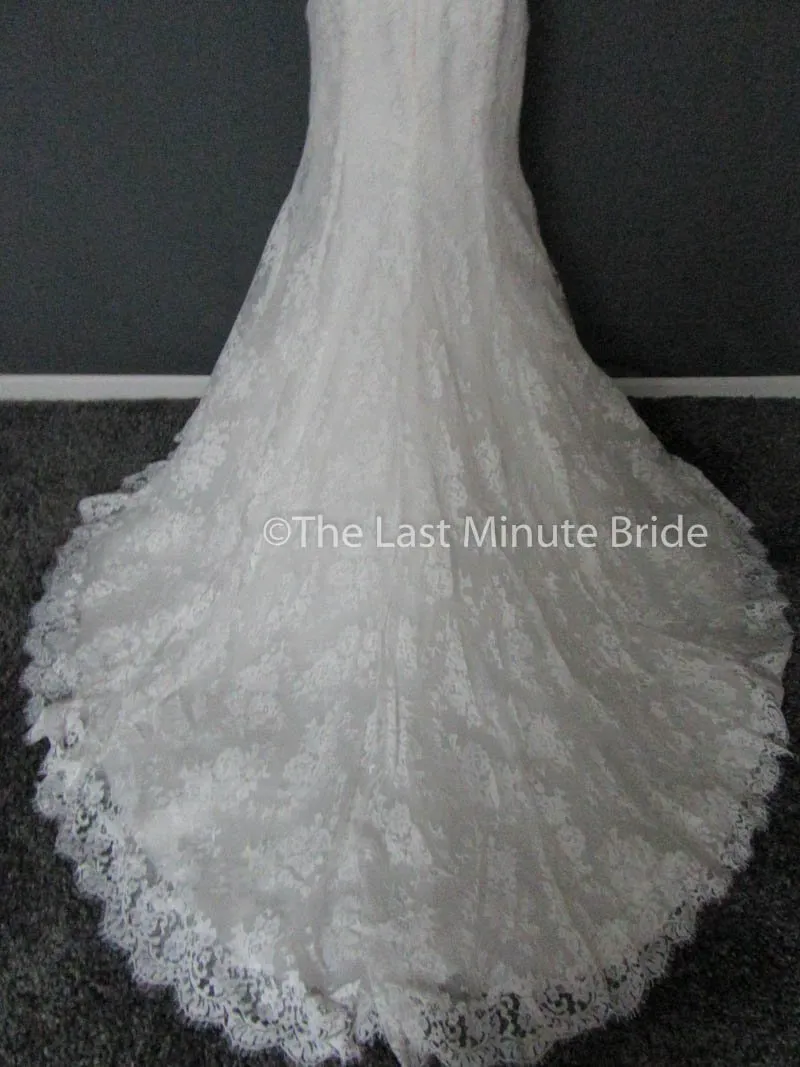 Cosmobella 7858