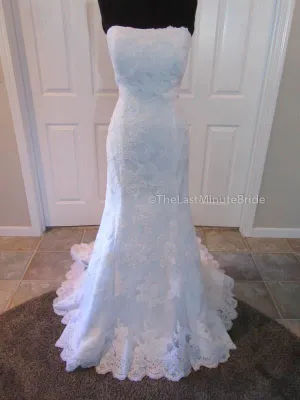 Demetrios DP232