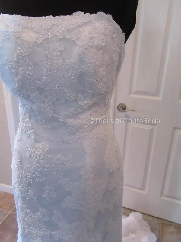 Demetrios DP232