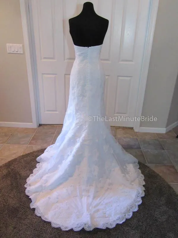 Demetrios DP232