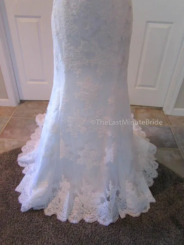 Demetrios DP232