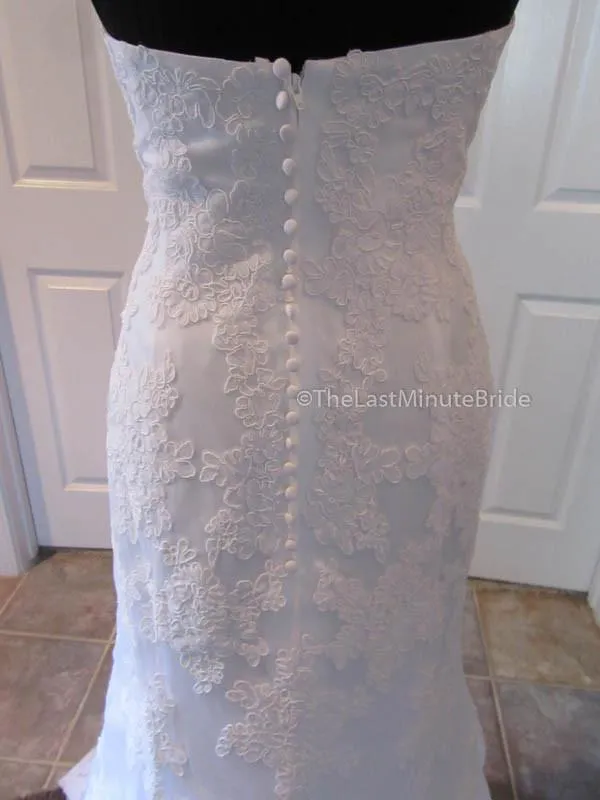 Demetrios DP232