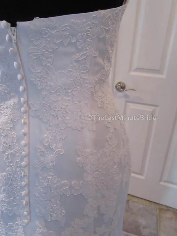 Demetrios DP232