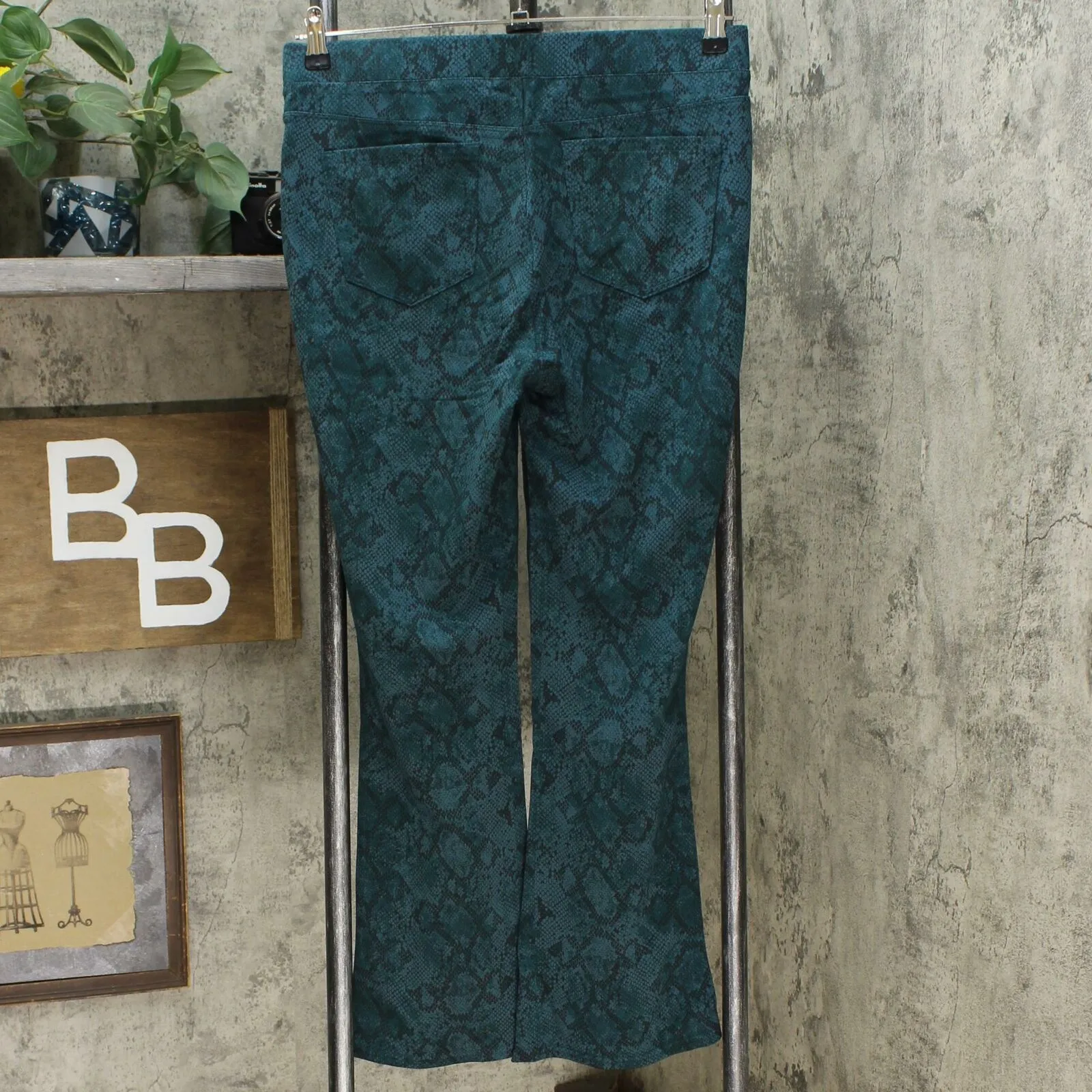 DG2 by Diane Gilman Pull On Ponte Boot Cut Pants Green Snake Petite Medium