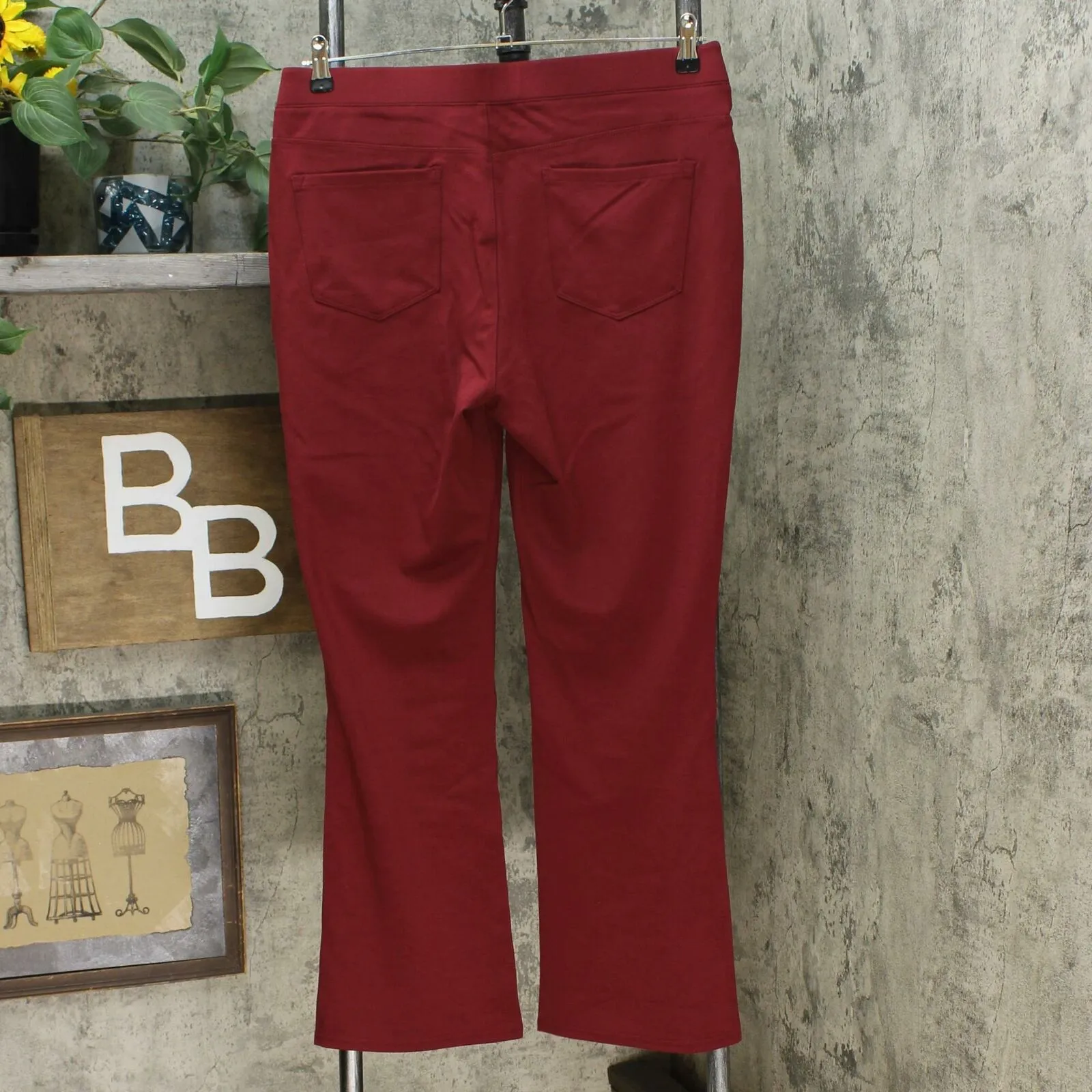 DG2 by Diane Gilman Women's Petite Solid Ponte Knit Boot Cut Pants