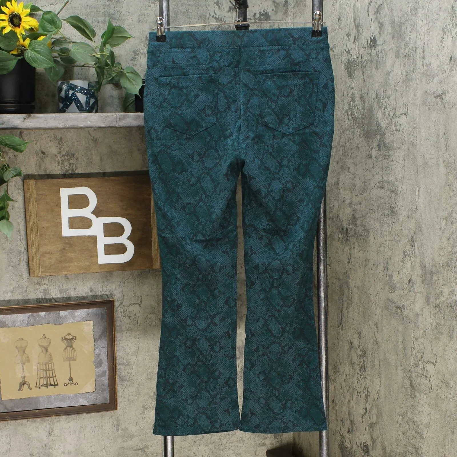 DG2 by Diane Gilman Women's Pull On Boot Cut Pants Green Snake Petite Medium