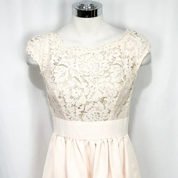 Eliza J Blush Lace &amp; Faille Dress‎ Size 2 Yoke Neck Babydoll Pink