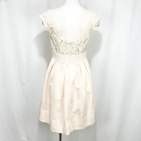 Eliza J Blush Lace &amp; Faille Dress‎ Size 2 Yoke Neck Babydoll Pink
