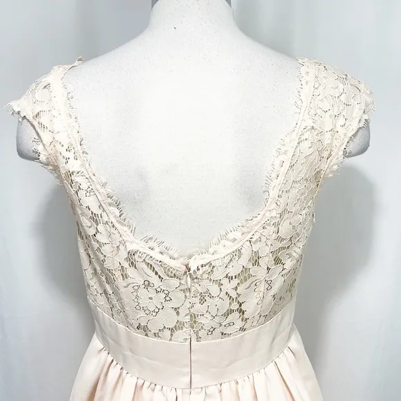 Eliza J Blush Lace &amp; Faille Dress‎ Size 2 Yoke Neck Babydoll Pink
