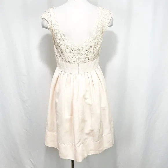 Eliza J Blush Lace &amp; Faille Dress‎ Size 2 Yoke Neck Babydoll Pink