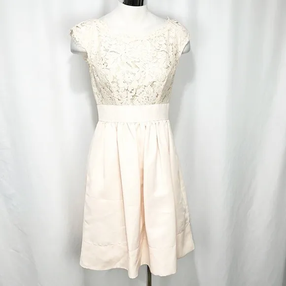 Eliza J Blush Lace &amp; Faille Dress‎ Size 2 Yoke Neck Babydoll Pink