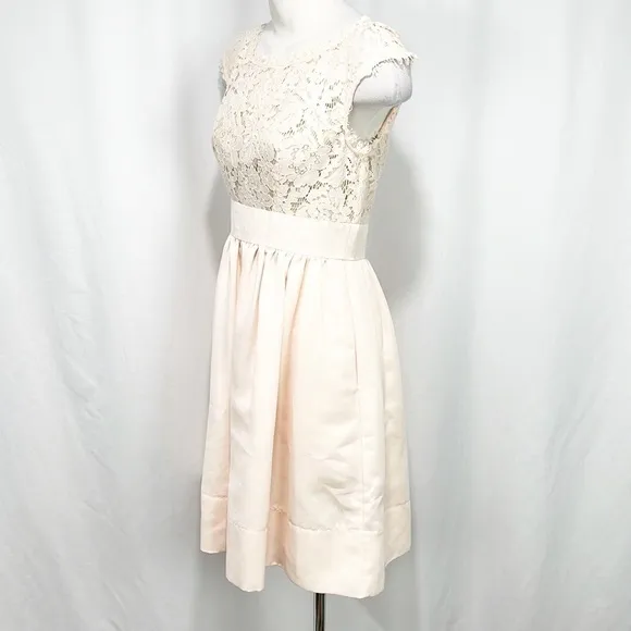 Eliza J Blush Lace &amp; Faille Dress‎ Size 2 Yoke Neck Babydoll Pink