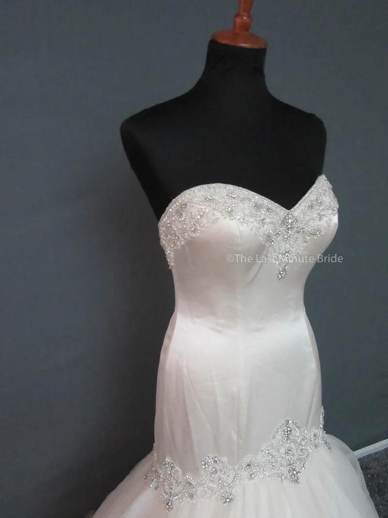 Essense of Australia D1571