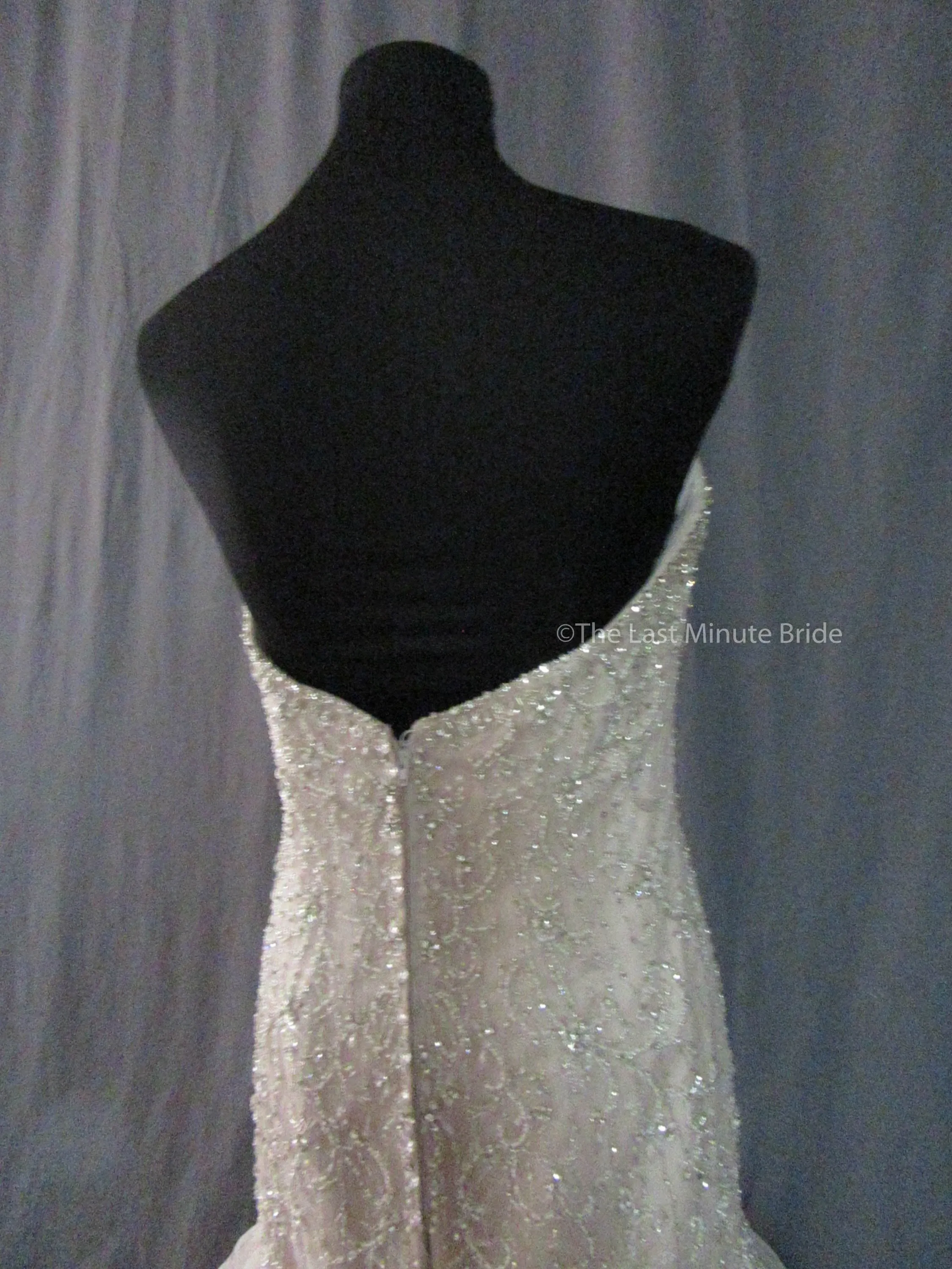 Essense of Australia Style D2195