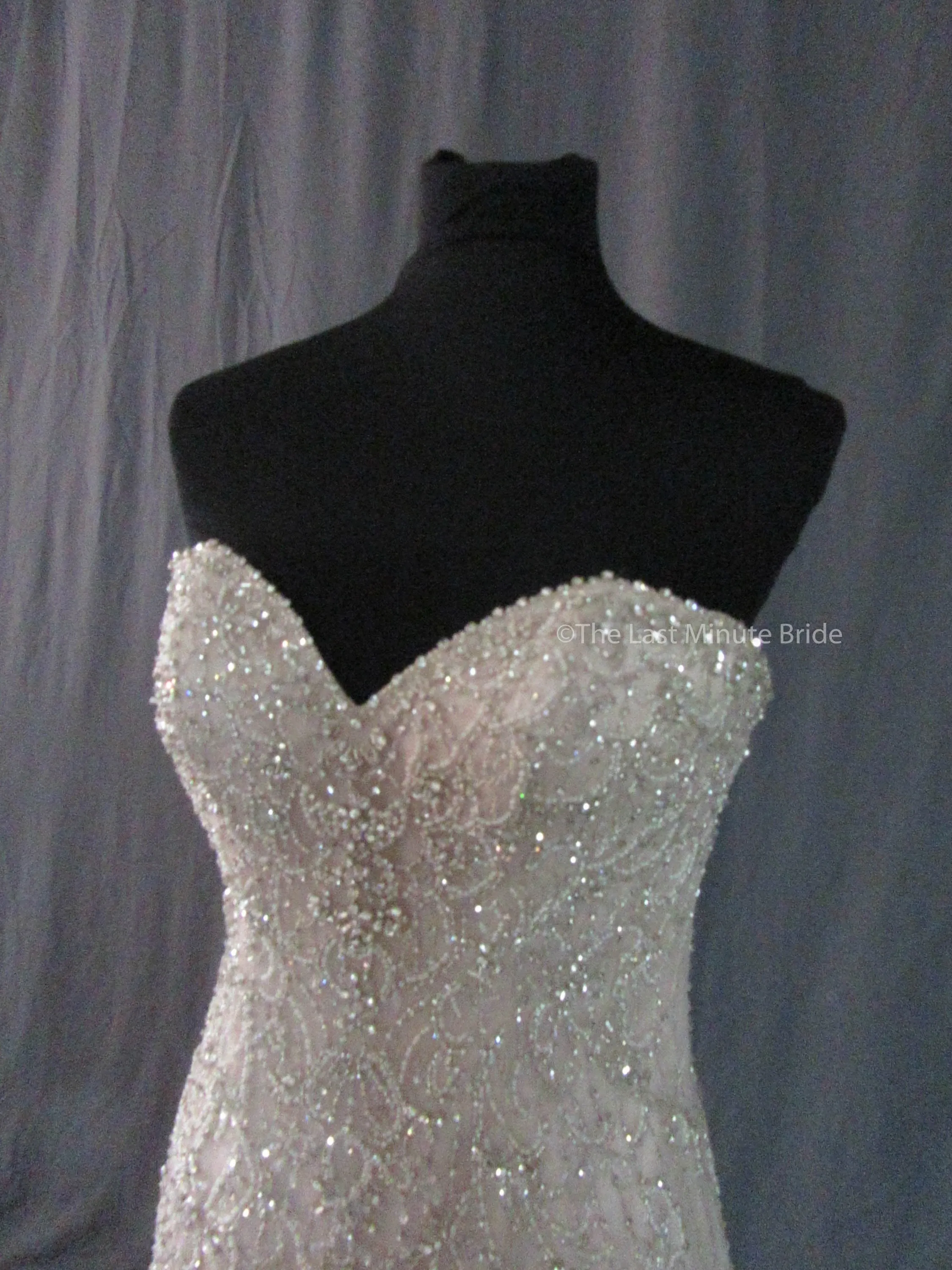 Essense of Australia Style D2195