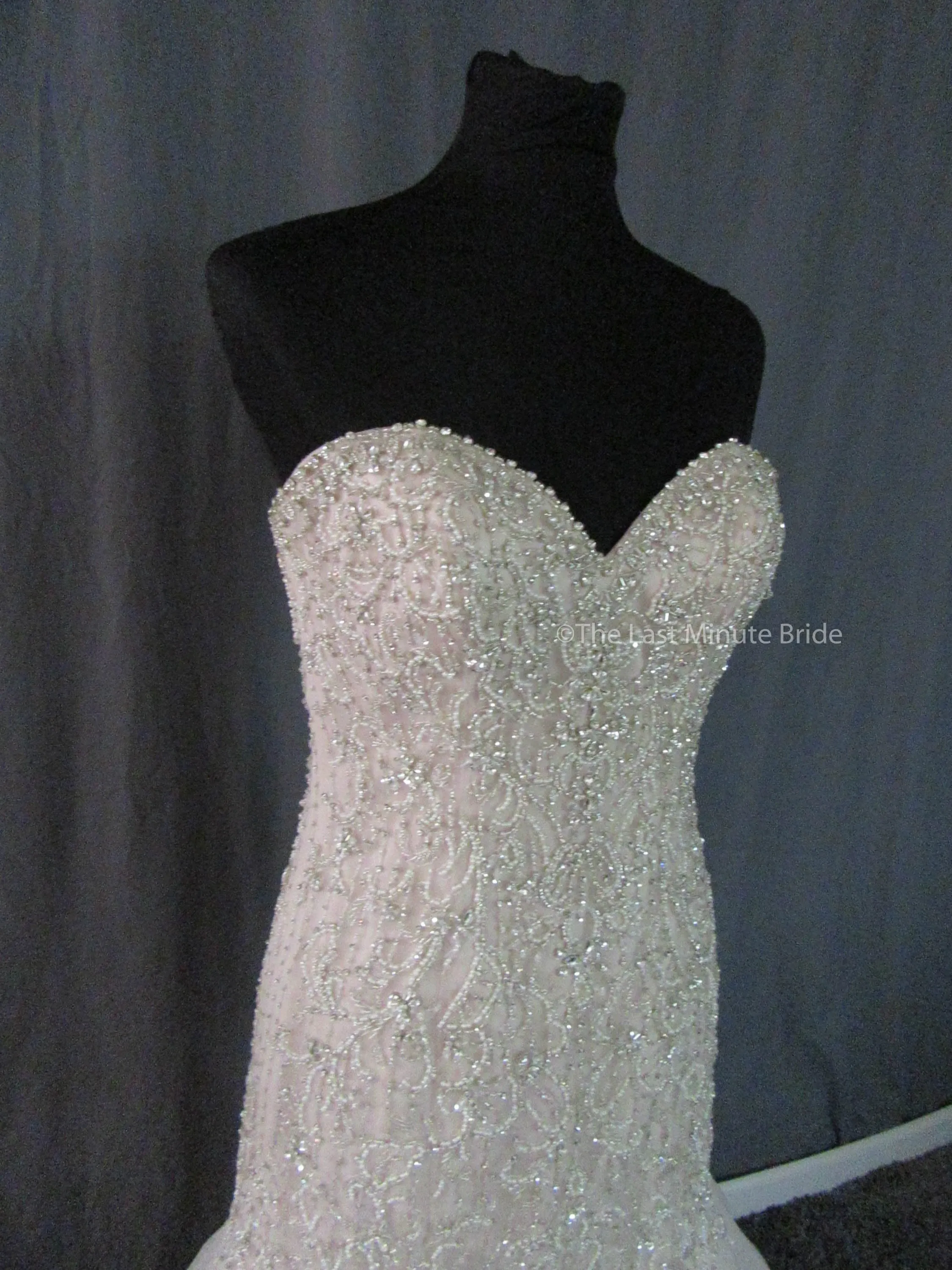 Essense of Australia Style D2195