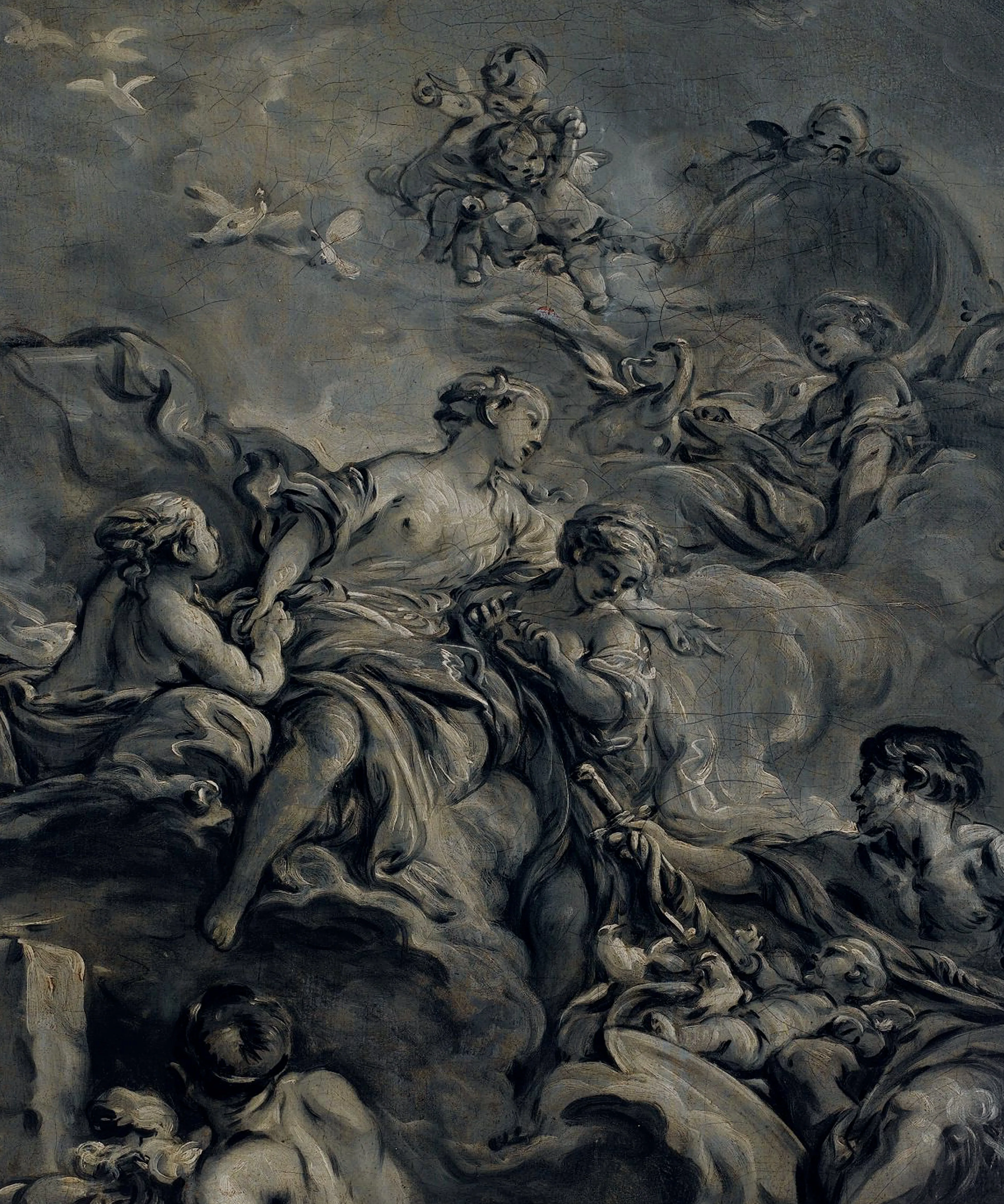 Grey Boucher