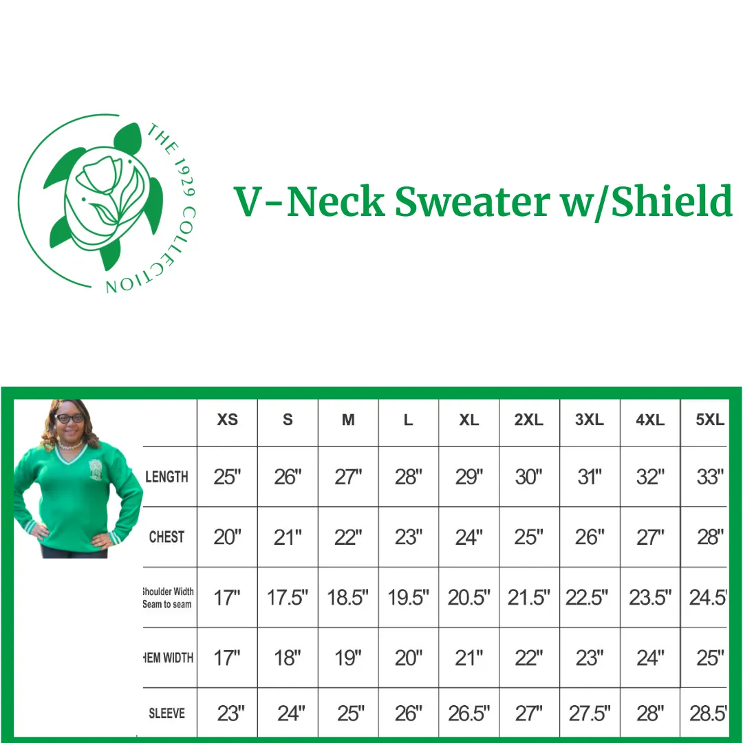 Iota Phi Lambda V-Neck Sweater