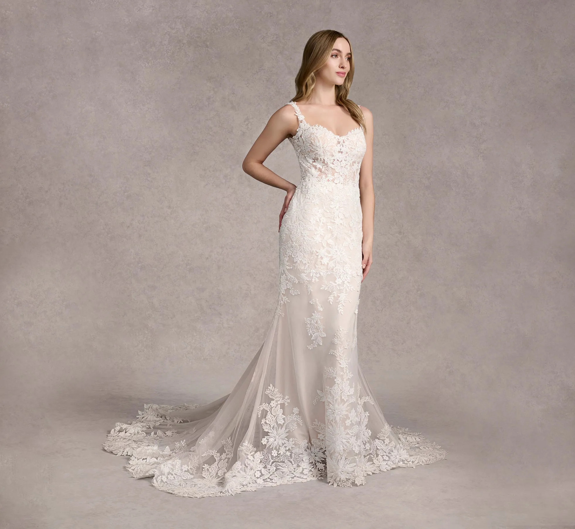 Lace And Tulle Fit And Flare Gown In Ivory/Almond/Nude In Ivory Almond Nude