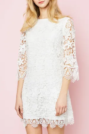 Lace Shift Dress