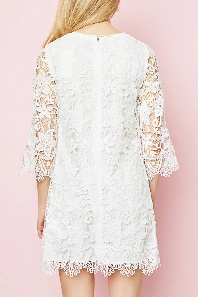 Lace Shift Dress