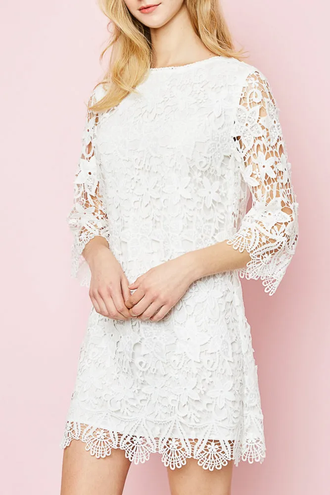 Lace Shift Dress
