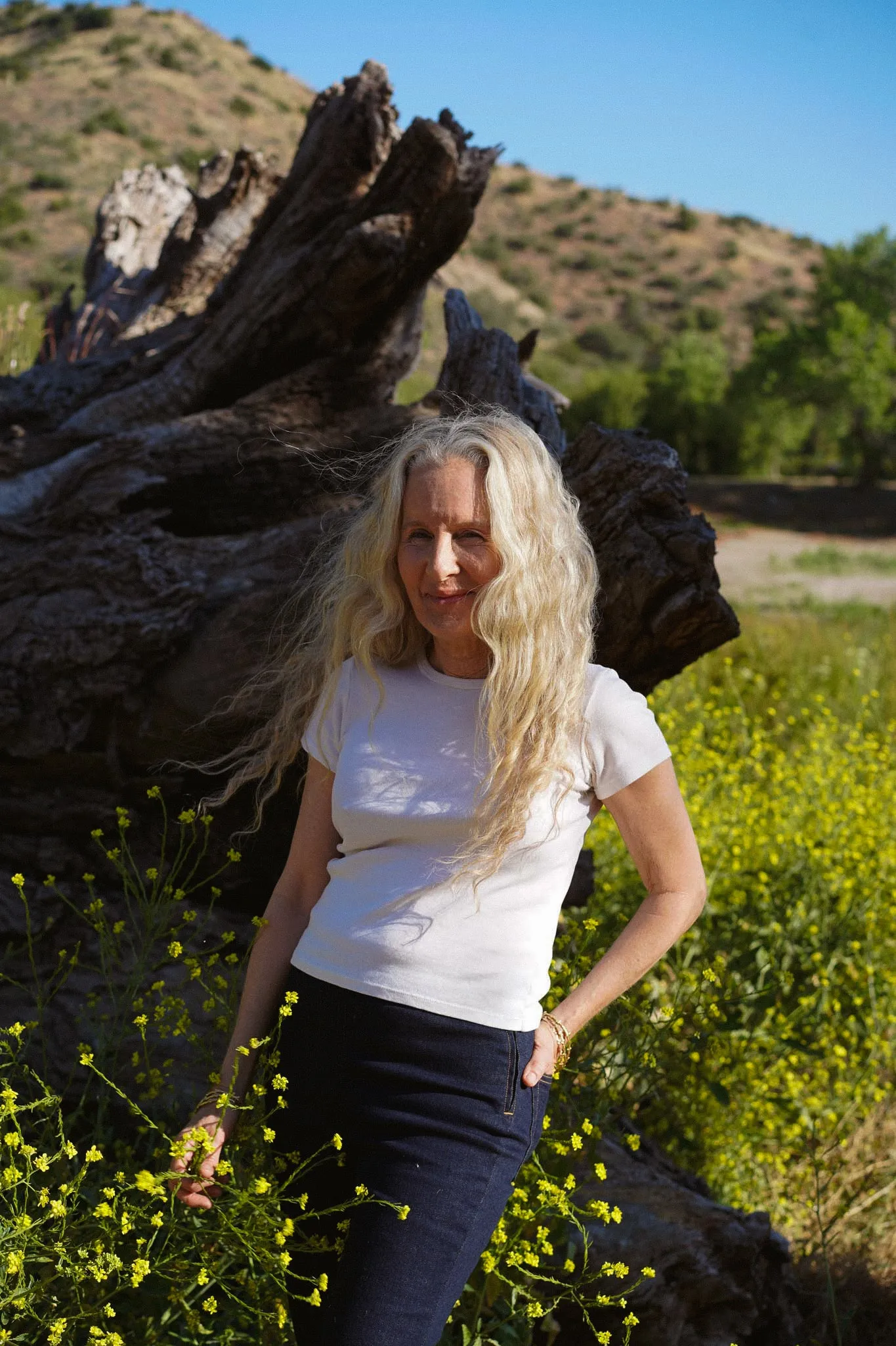 Lark Bootcut Pull On Pant || Primrose