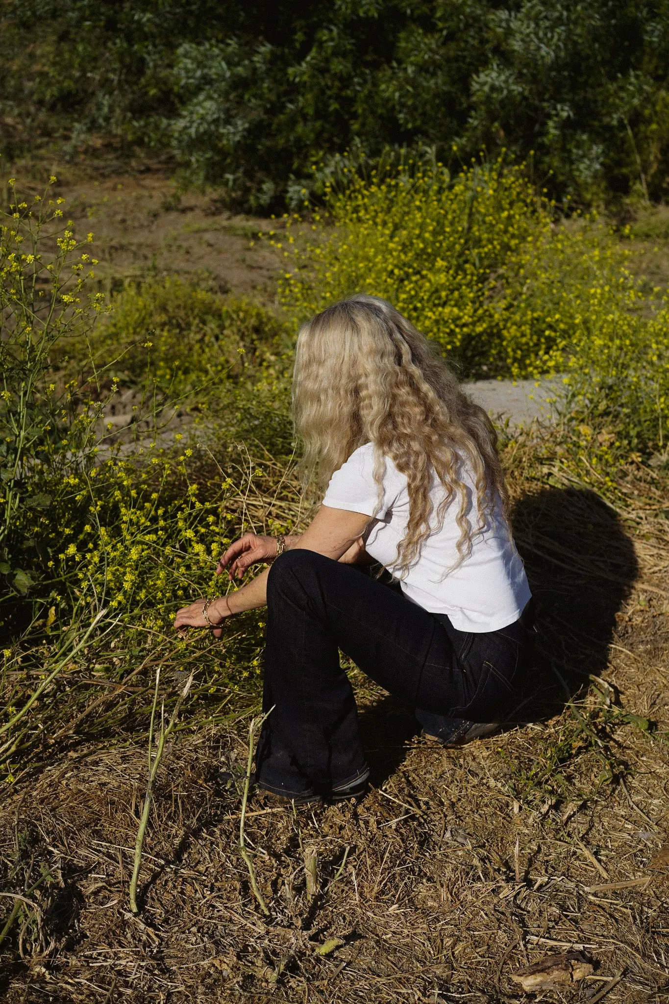Lark Bootcut Pull On Pant || Primrose