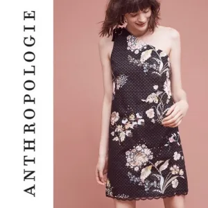 NEW Anthropologie (Maeve) “Ashbury” Dress C50X