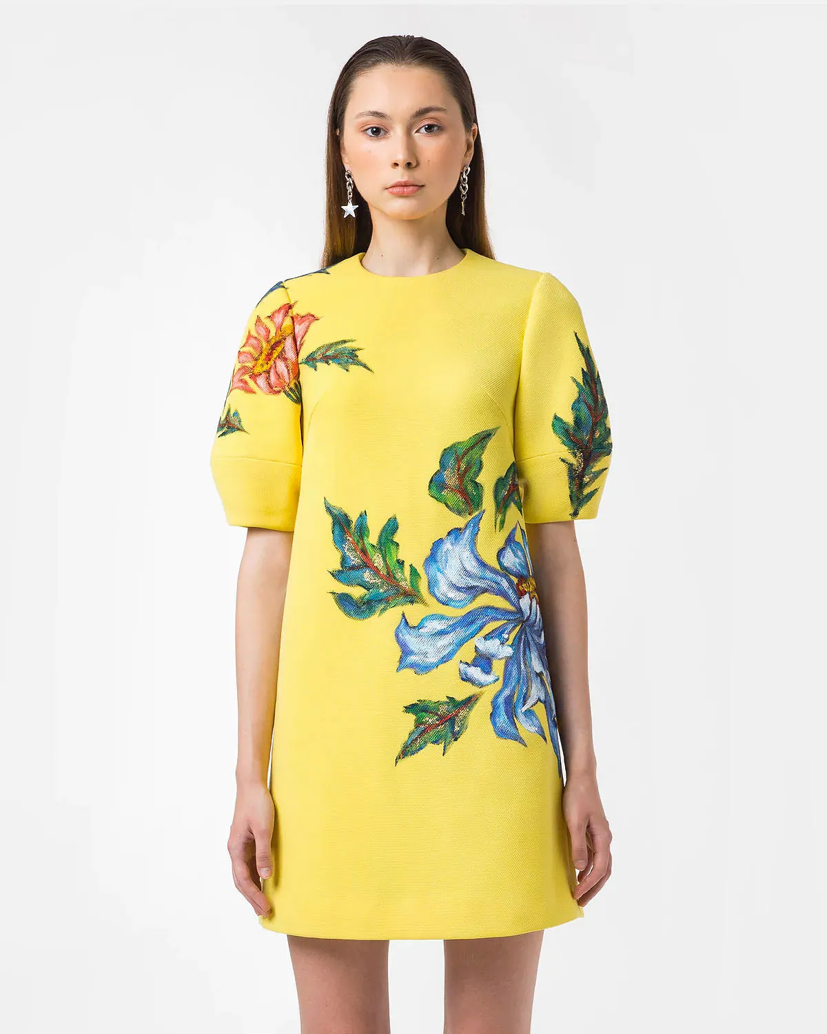 Poppy-painted Voluminous Sleeve Shift Dress