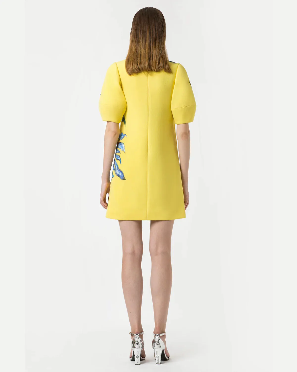 Poppy-painted Voluminous Sleeve Shift Dress